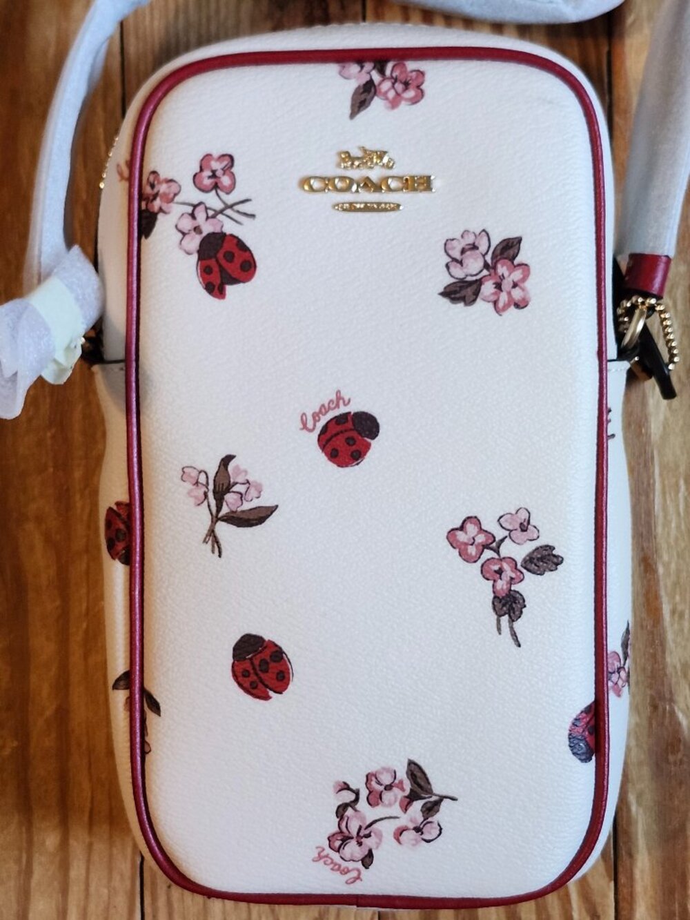 Coach Ladybug Floral Print Camera Bag